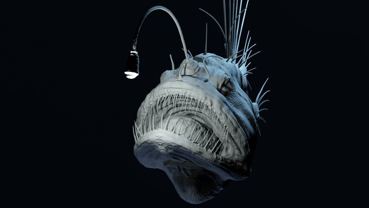 Рыба удильщик Марианская впадина