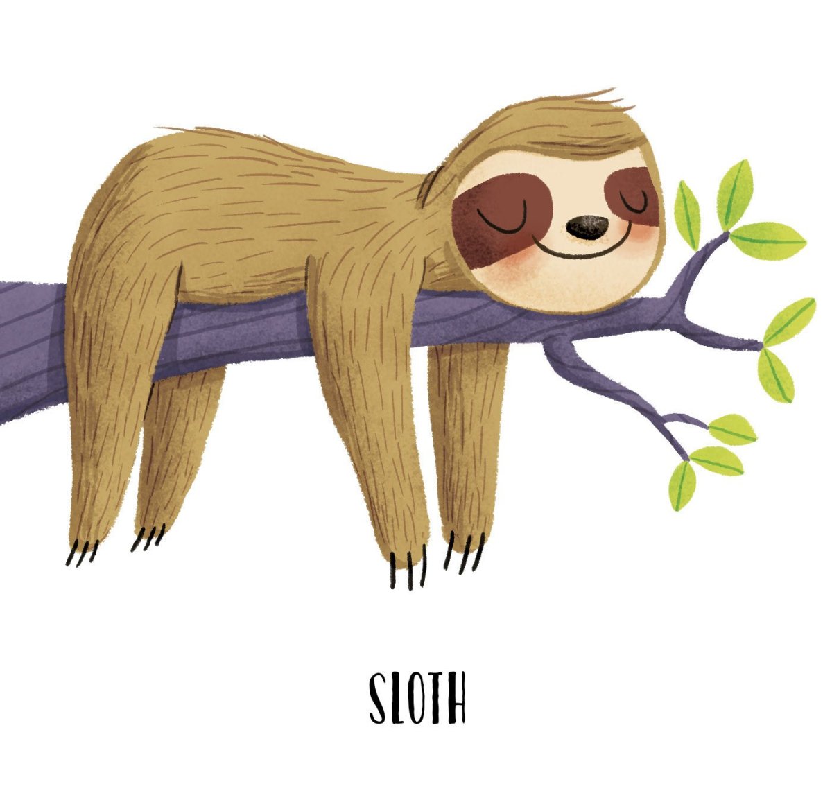 Ленивец с детьми