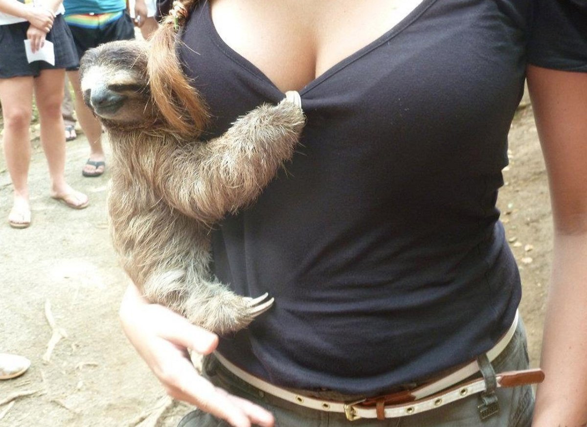 Животные с грудью