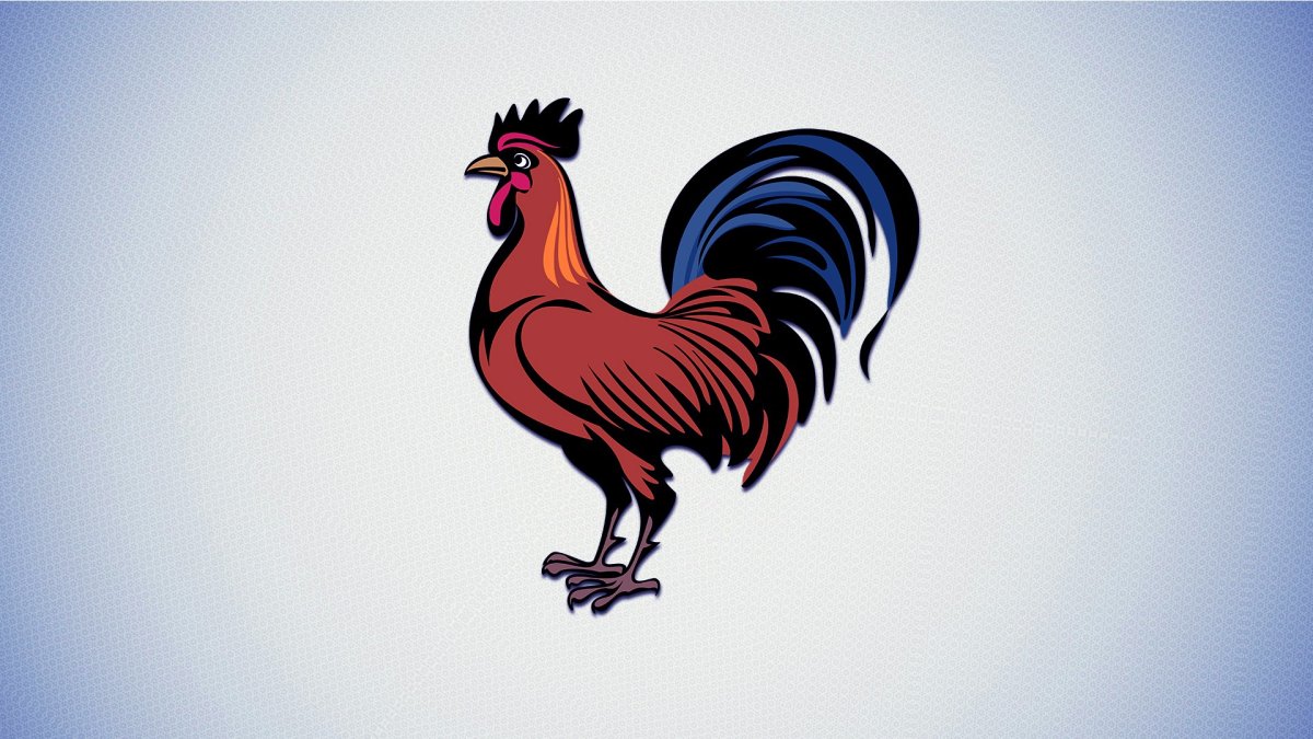 Петух картинка