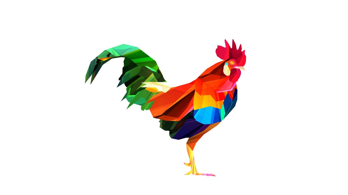 Rooster Bold