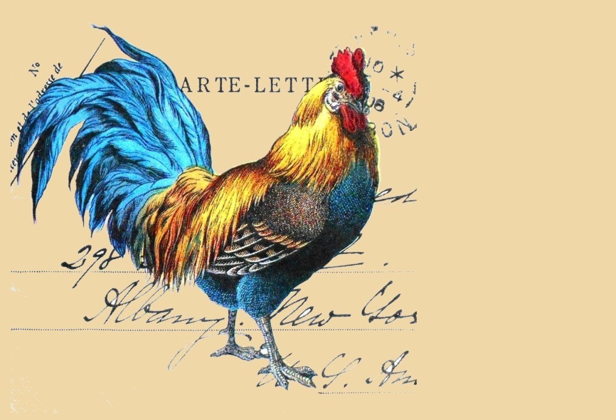 Петух Прованс для декупажа