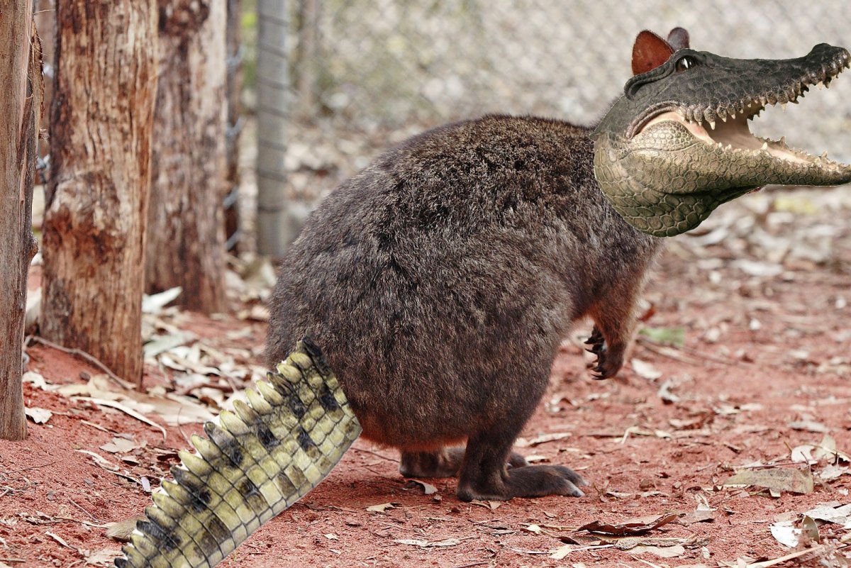 Броненосец Австралия