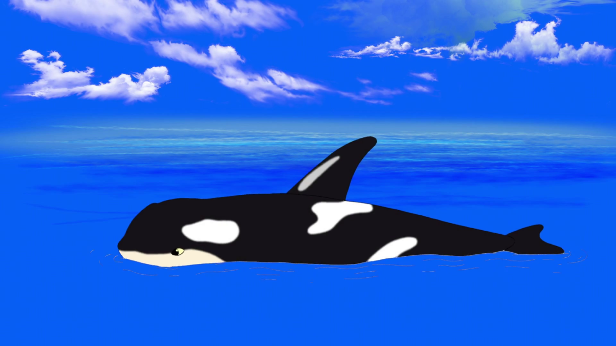 Новорожденная косатка