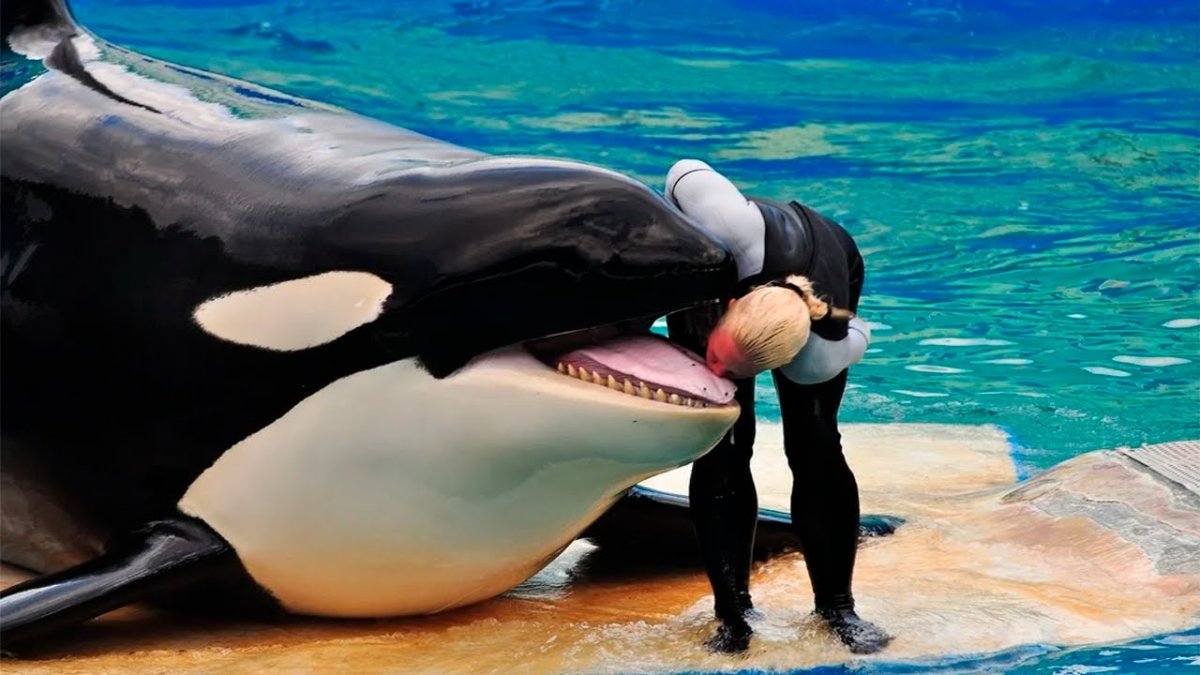 Тиликум и Дон Браншо