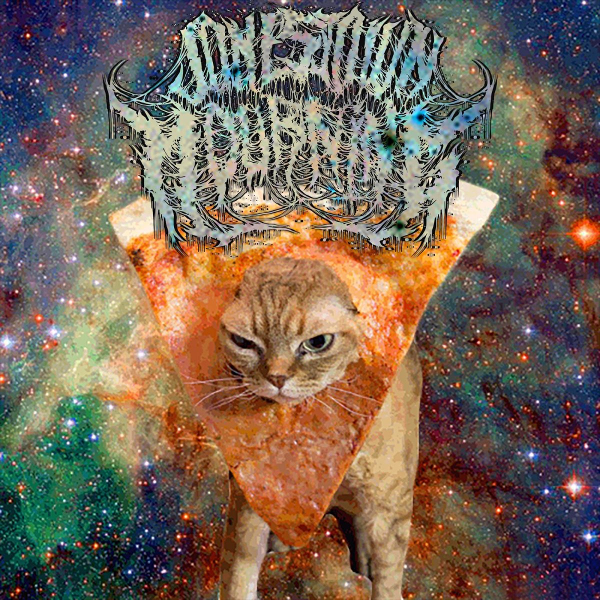 Котик в костюме пиццы