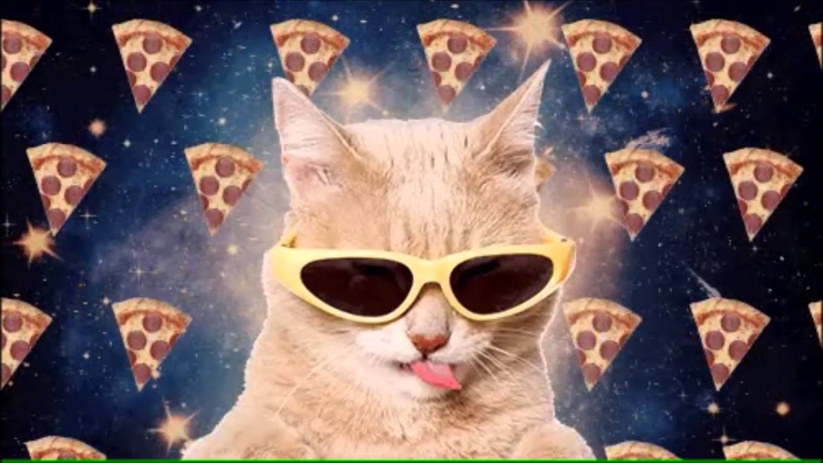 Кот на фоне пиццы