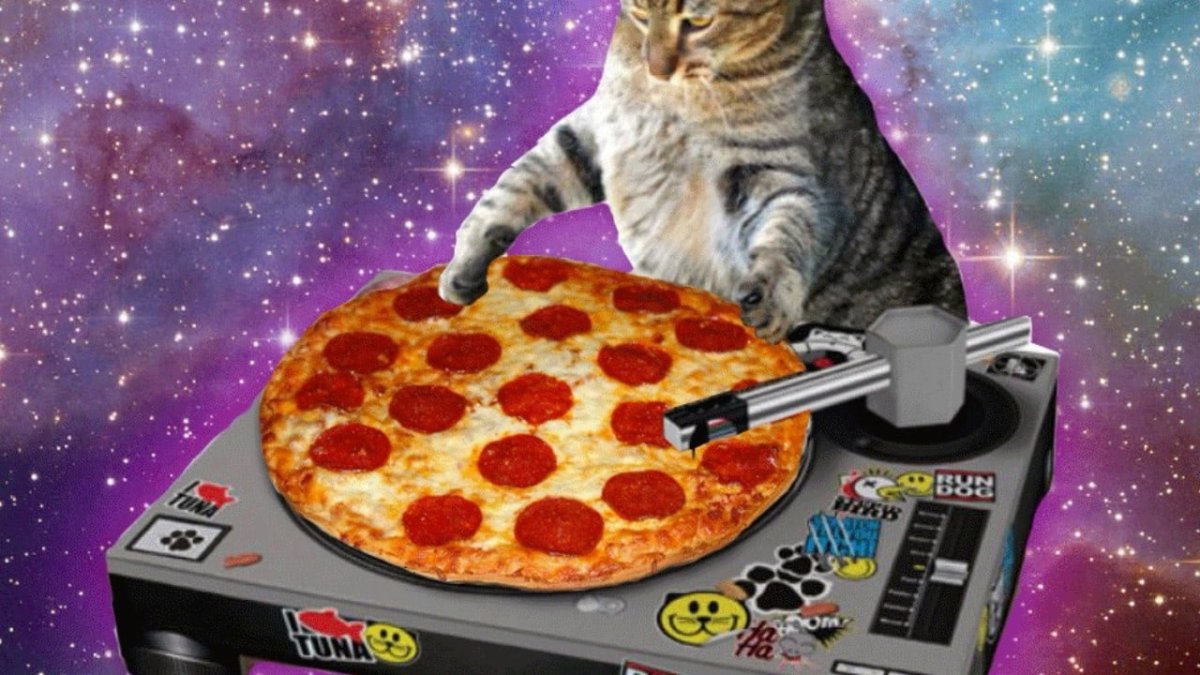 Котик с пиццей
