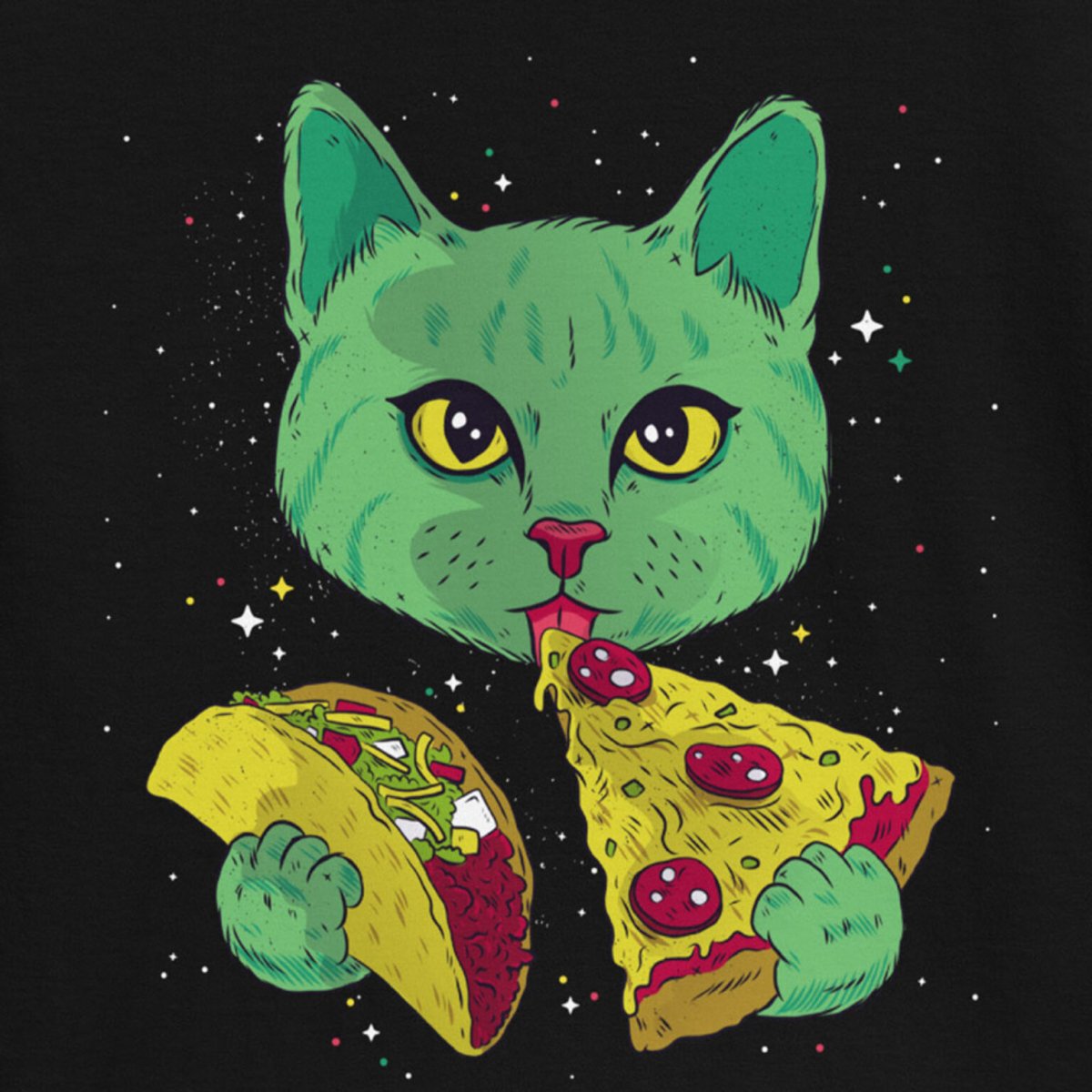 Кот с пиццей на голове