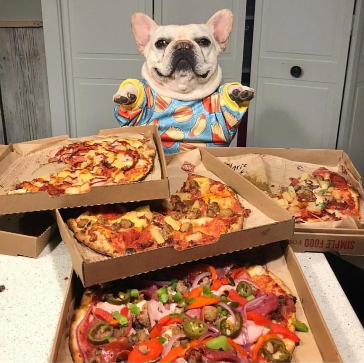 Мопс хинкаль