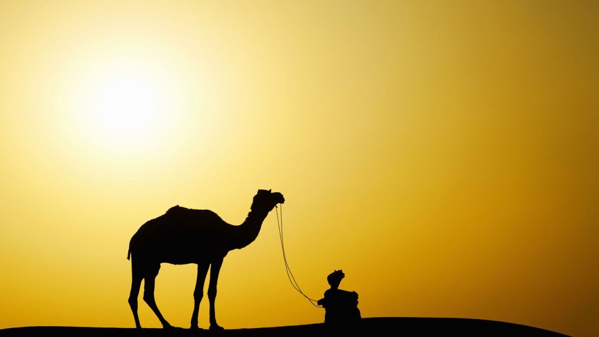 Верблюд Караван шелковый путь