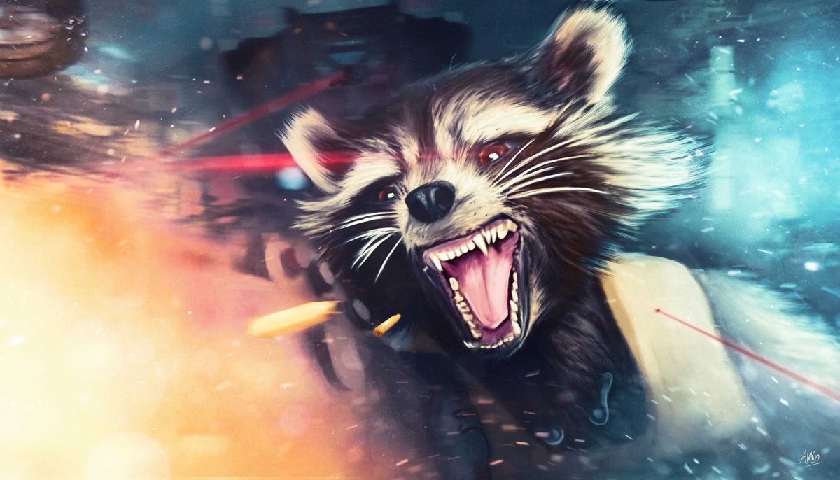 Енот на рабочий стол