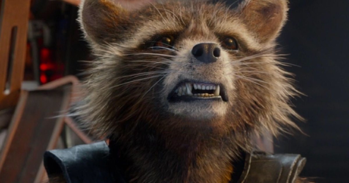 Енот привет