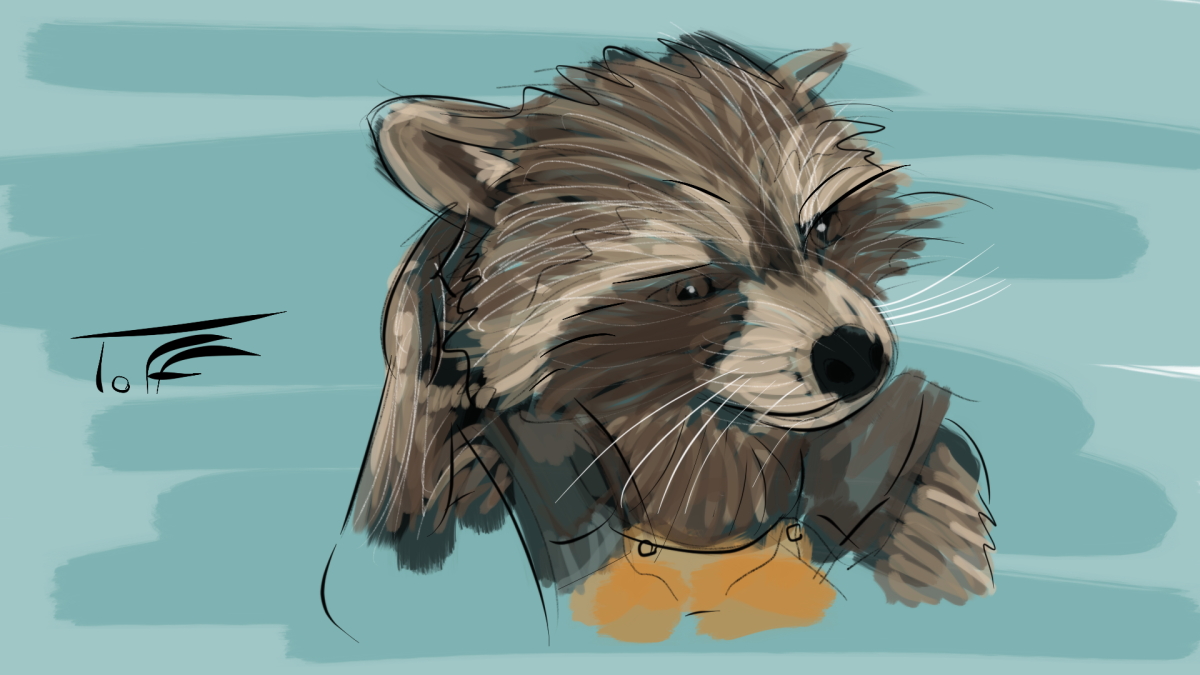 Енот девочка