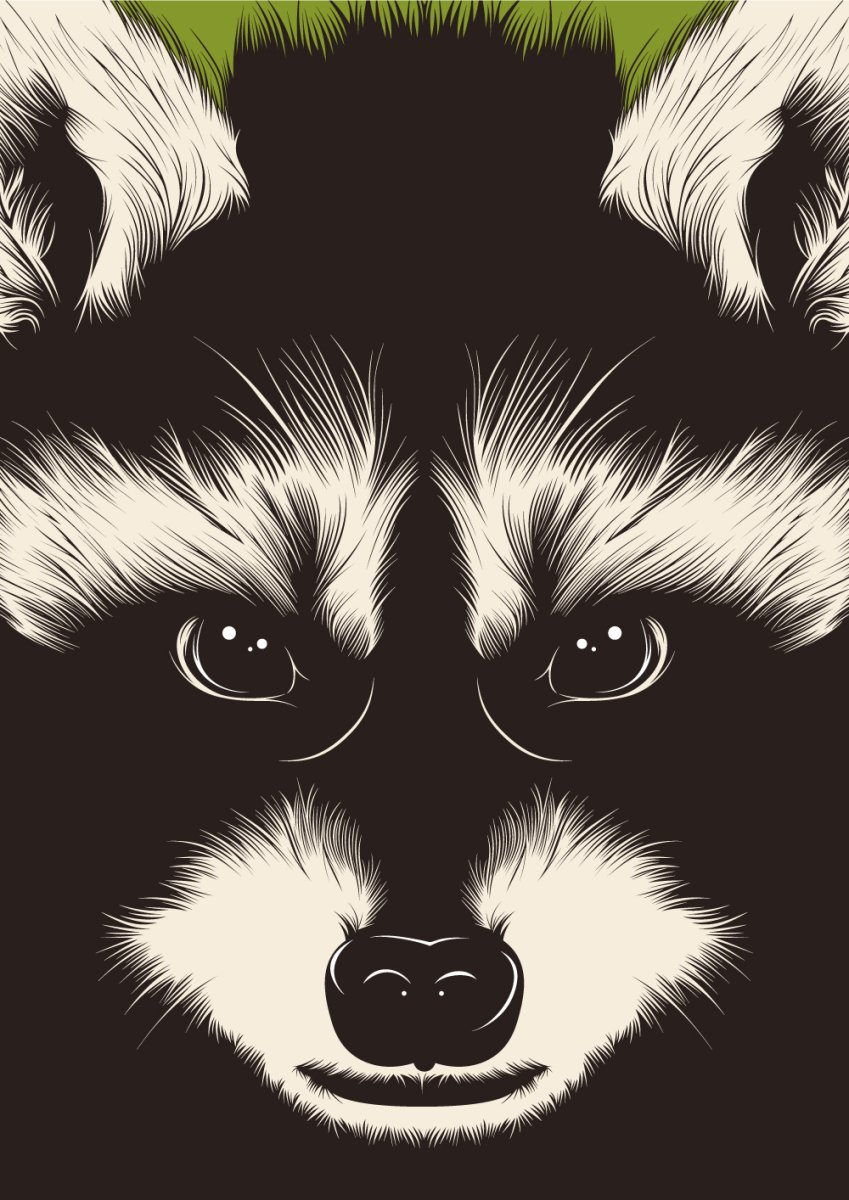 Рисунки енотов прикольные