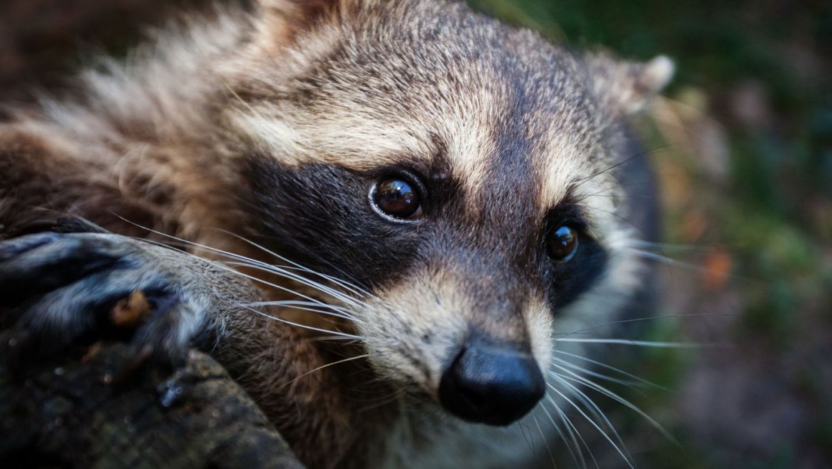 Когда случайно открыл