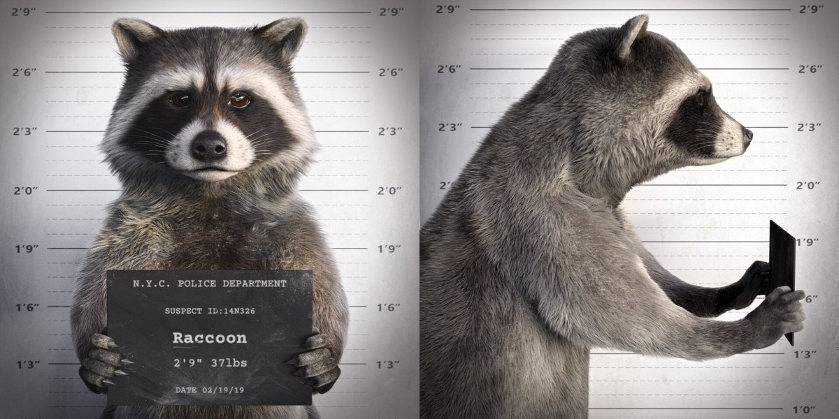 Енотик опео из Стражи Галактики