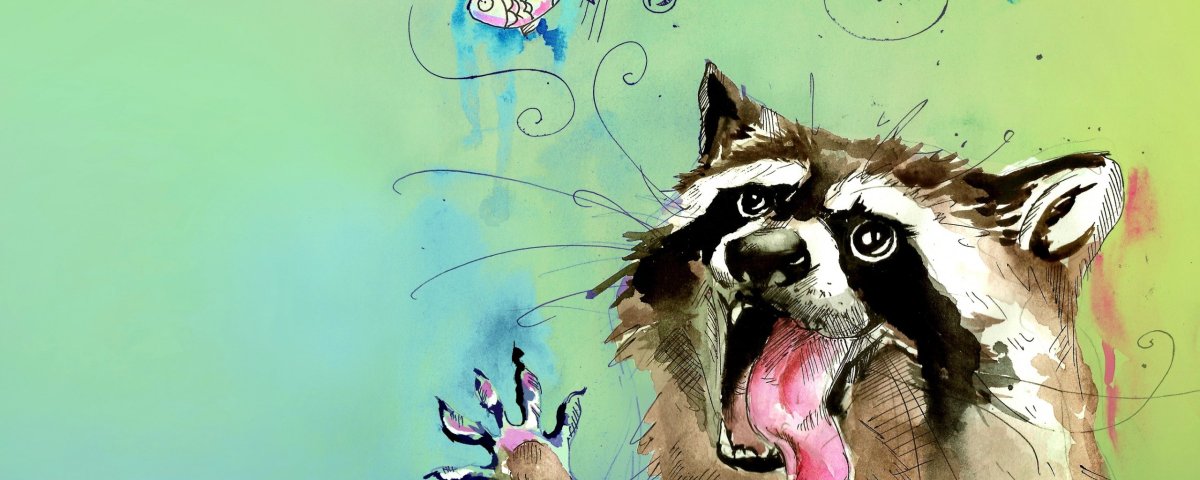 Енот полоскун Raccoon Rocket