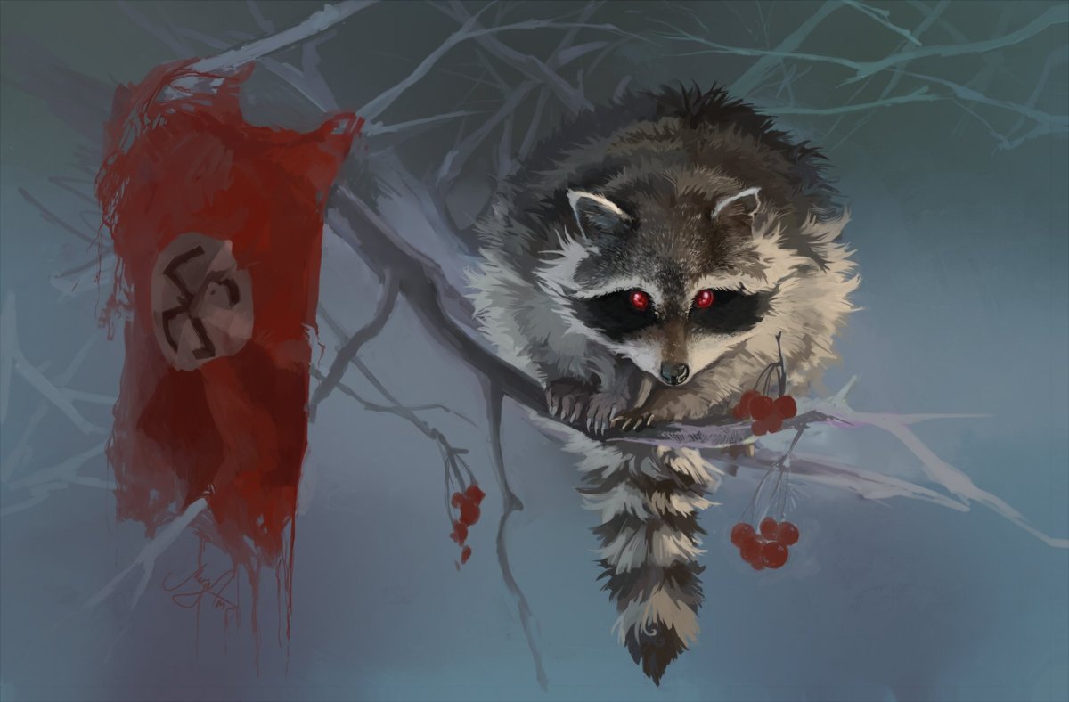 Енот с табличкой