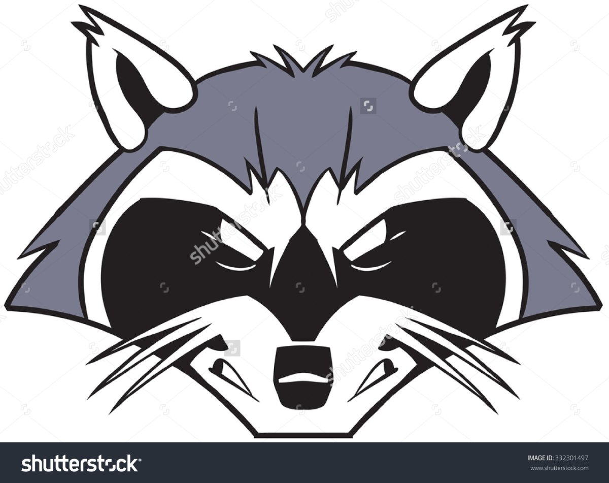 Еноты мультяшные и смешные