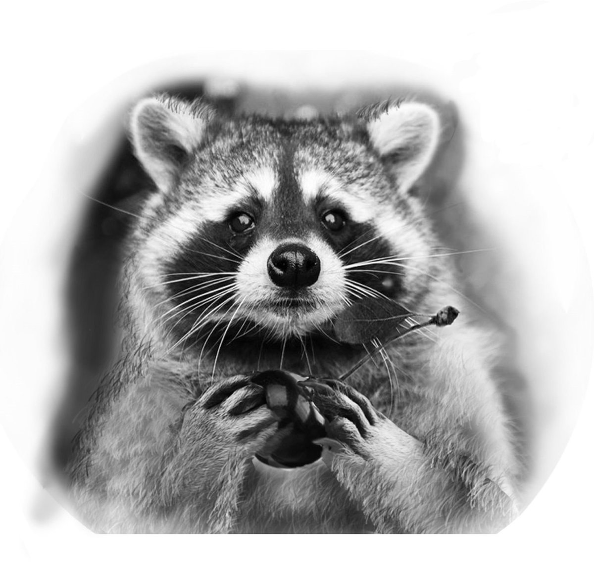 Ракета Стражи Галактики