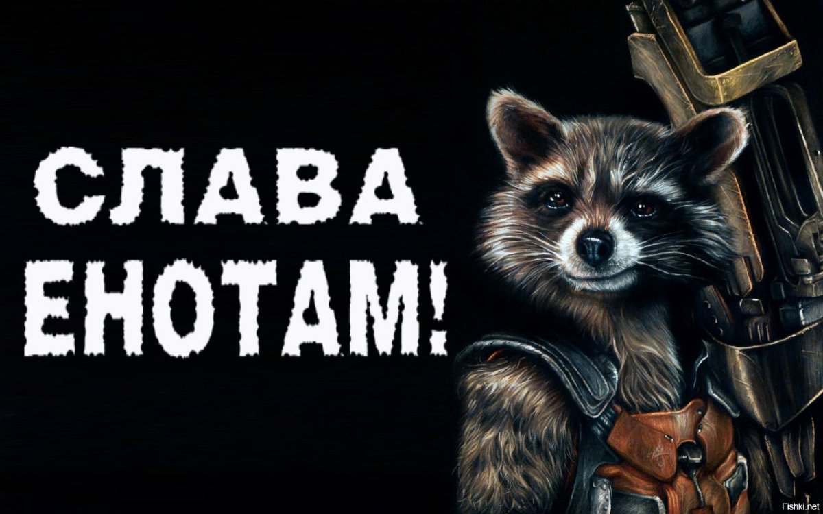 Милые еноты