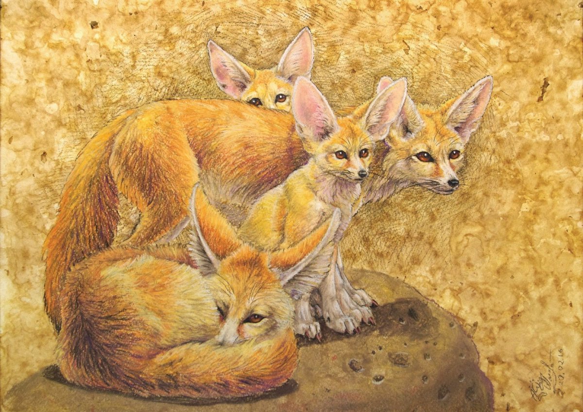 Маленький Лисенок