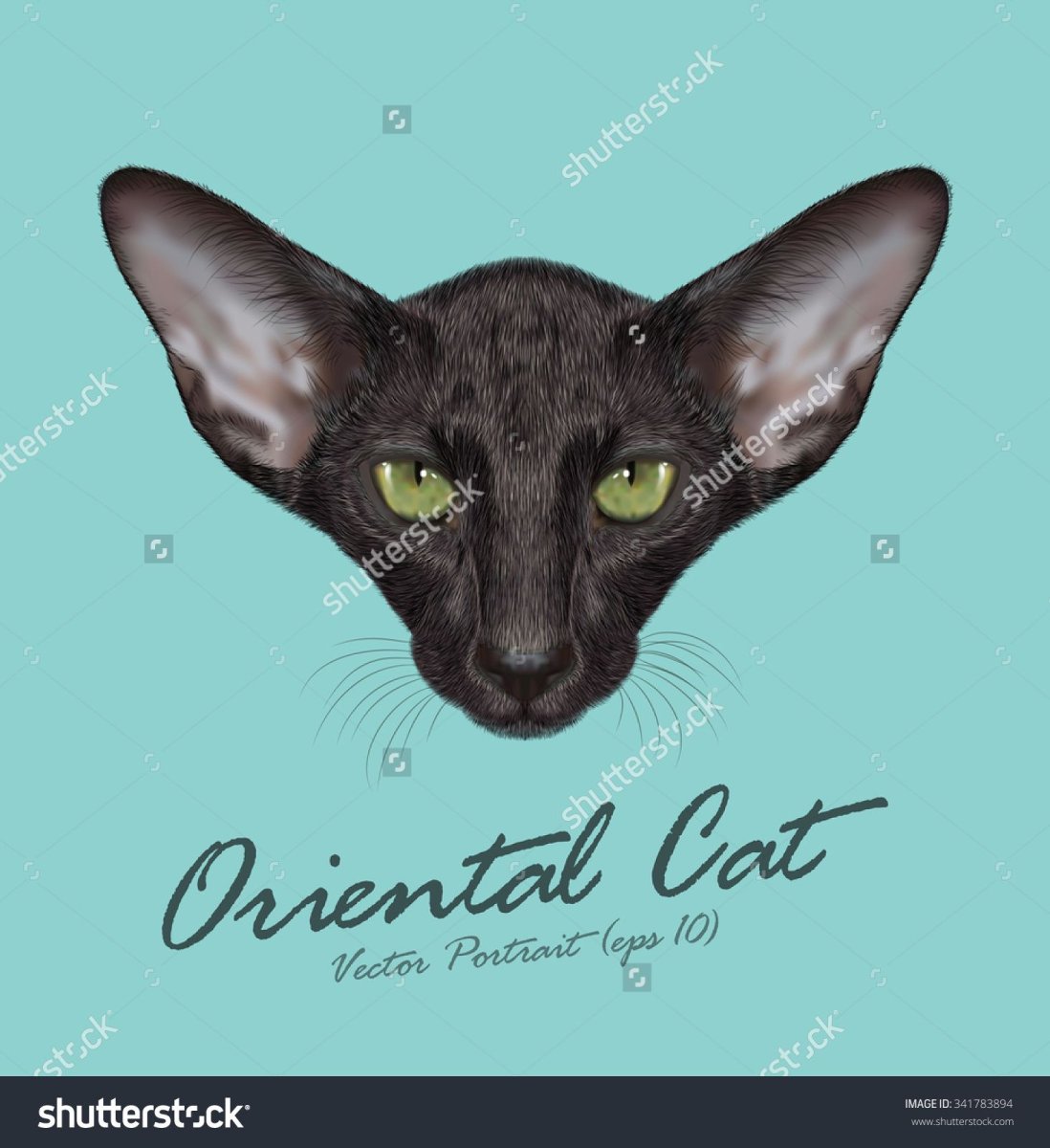 Ориентальная кошка вектор