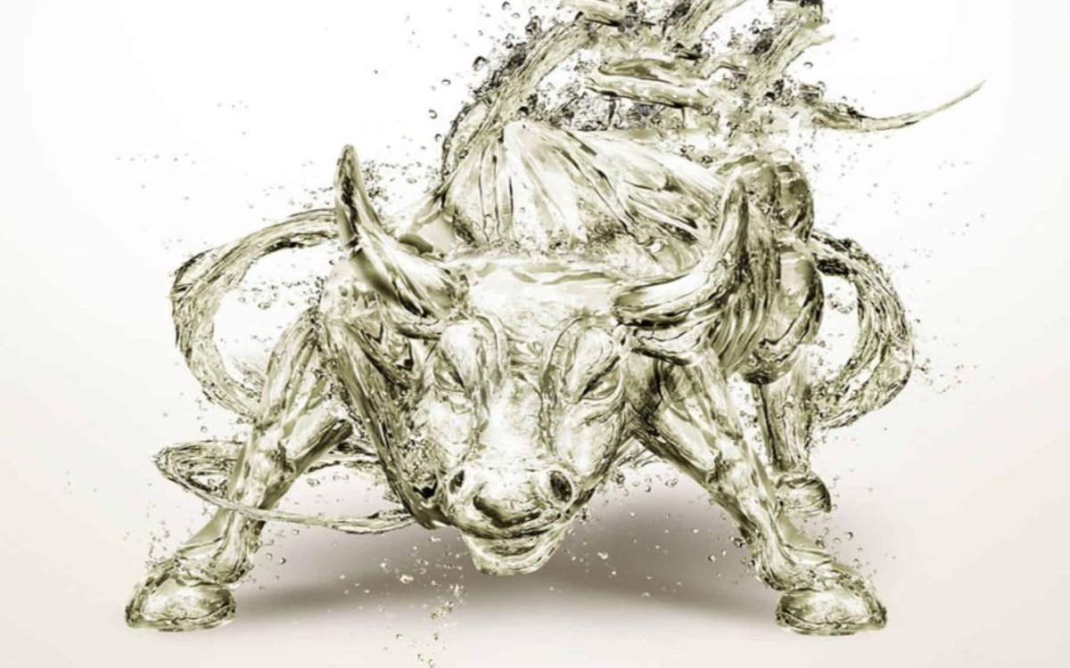 Креативный бык