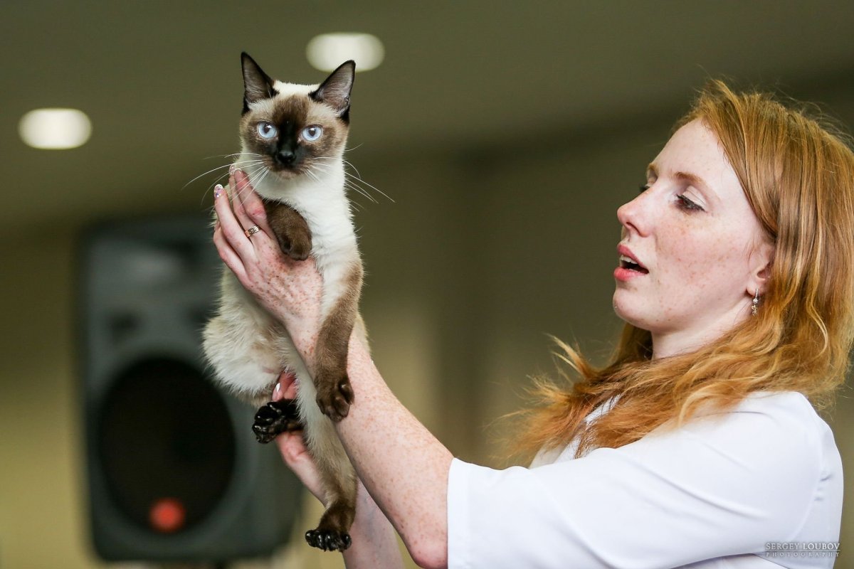 Скиф-Тай-Дон с человеком