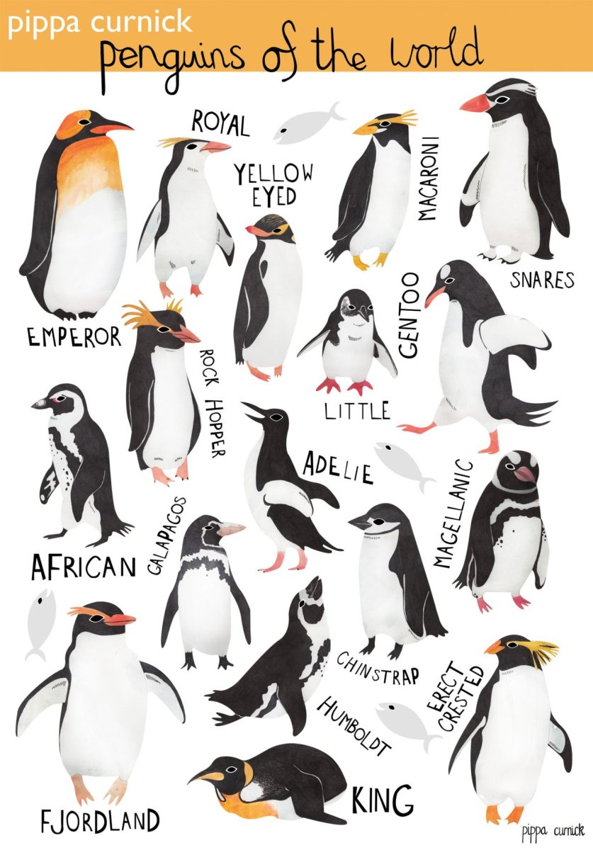 Инфографика пингвины