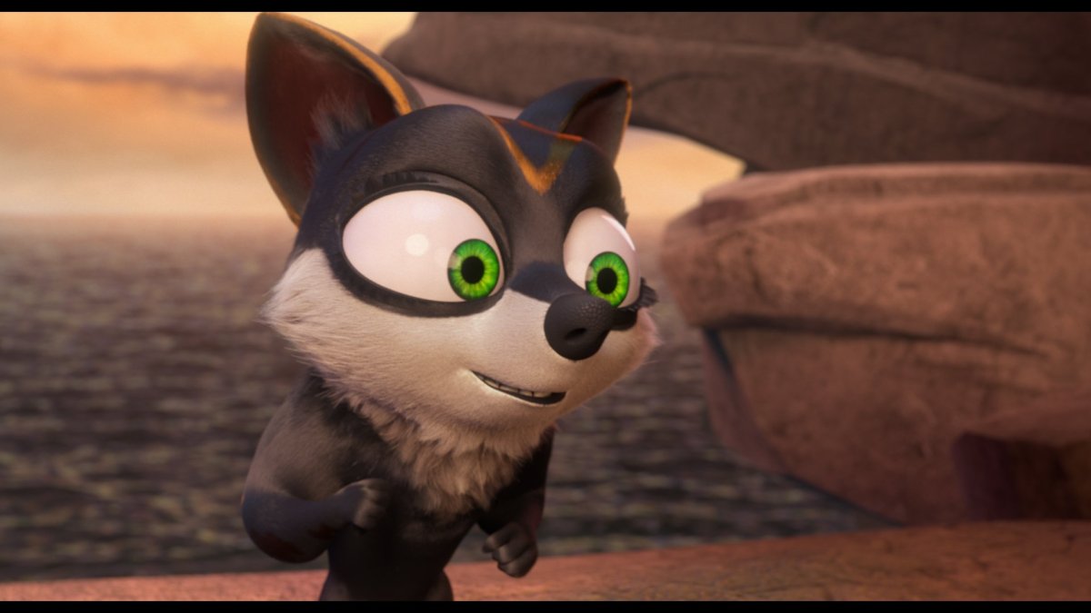 Барханный кот Израиль