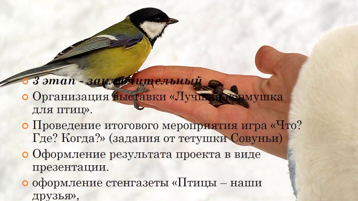 Птенец синички вылупился