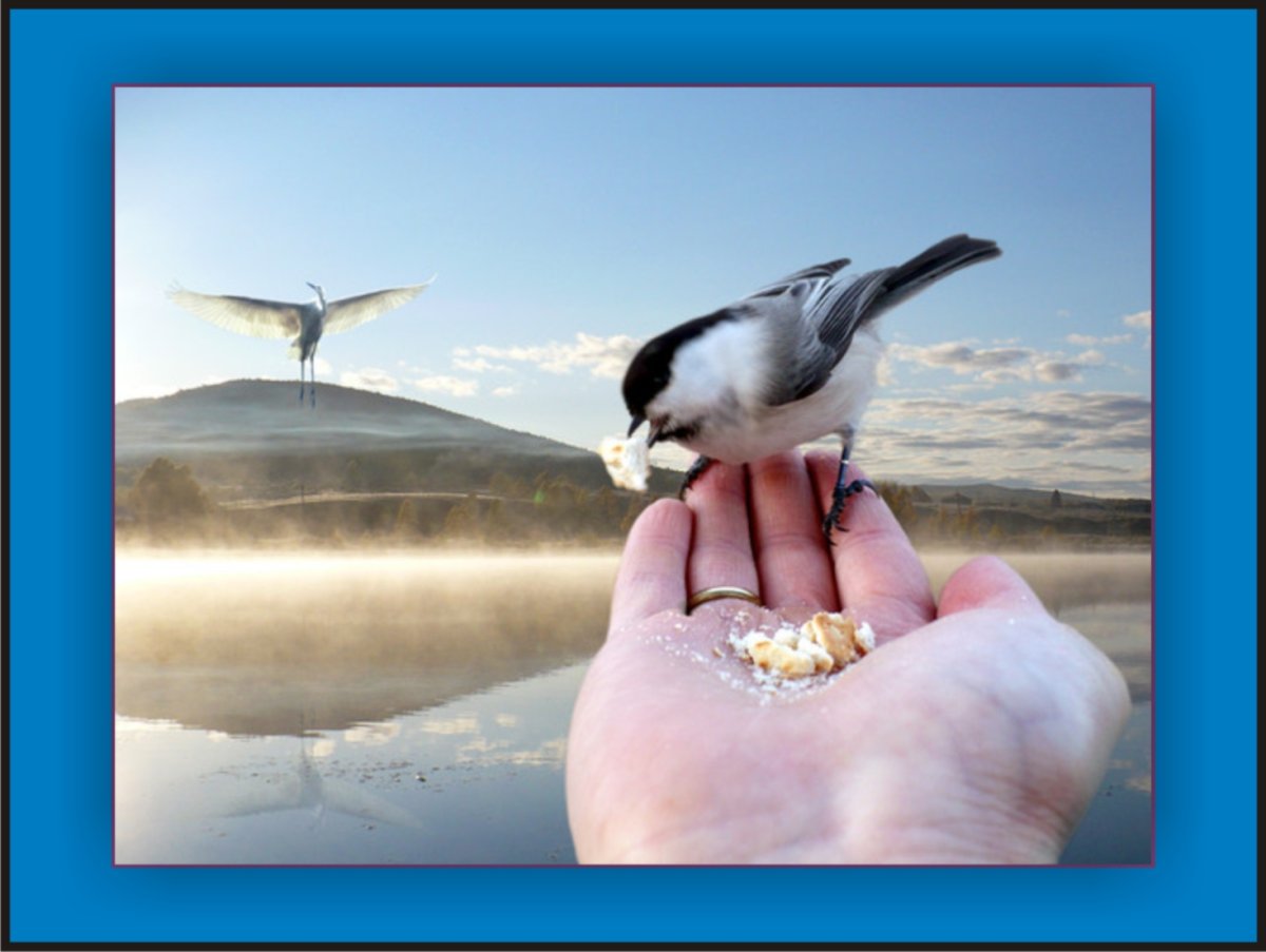 Смешная синица