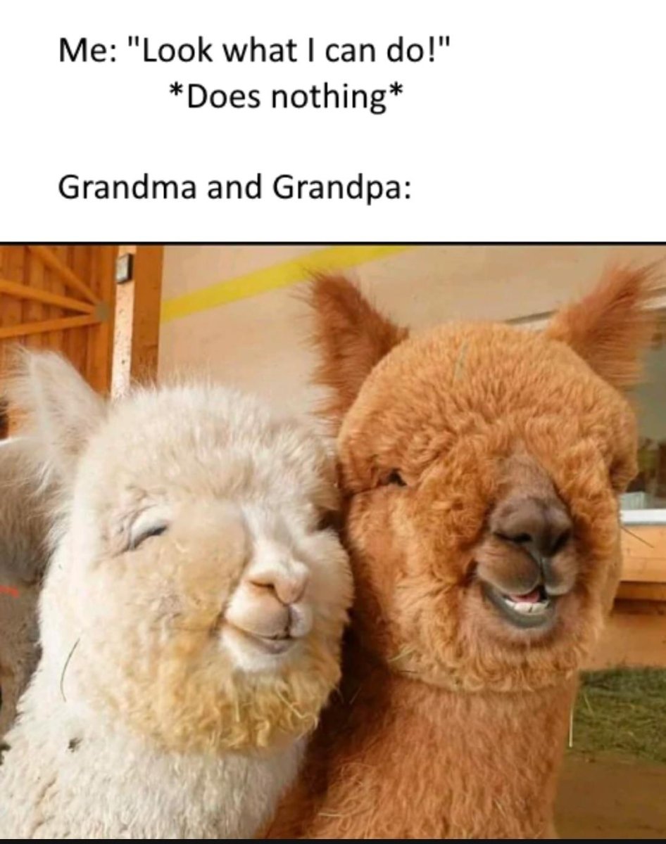 Лама, альпака, текстильные