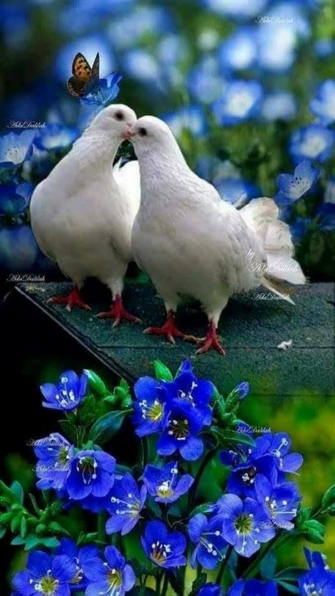 Картины Анны Лакисовой