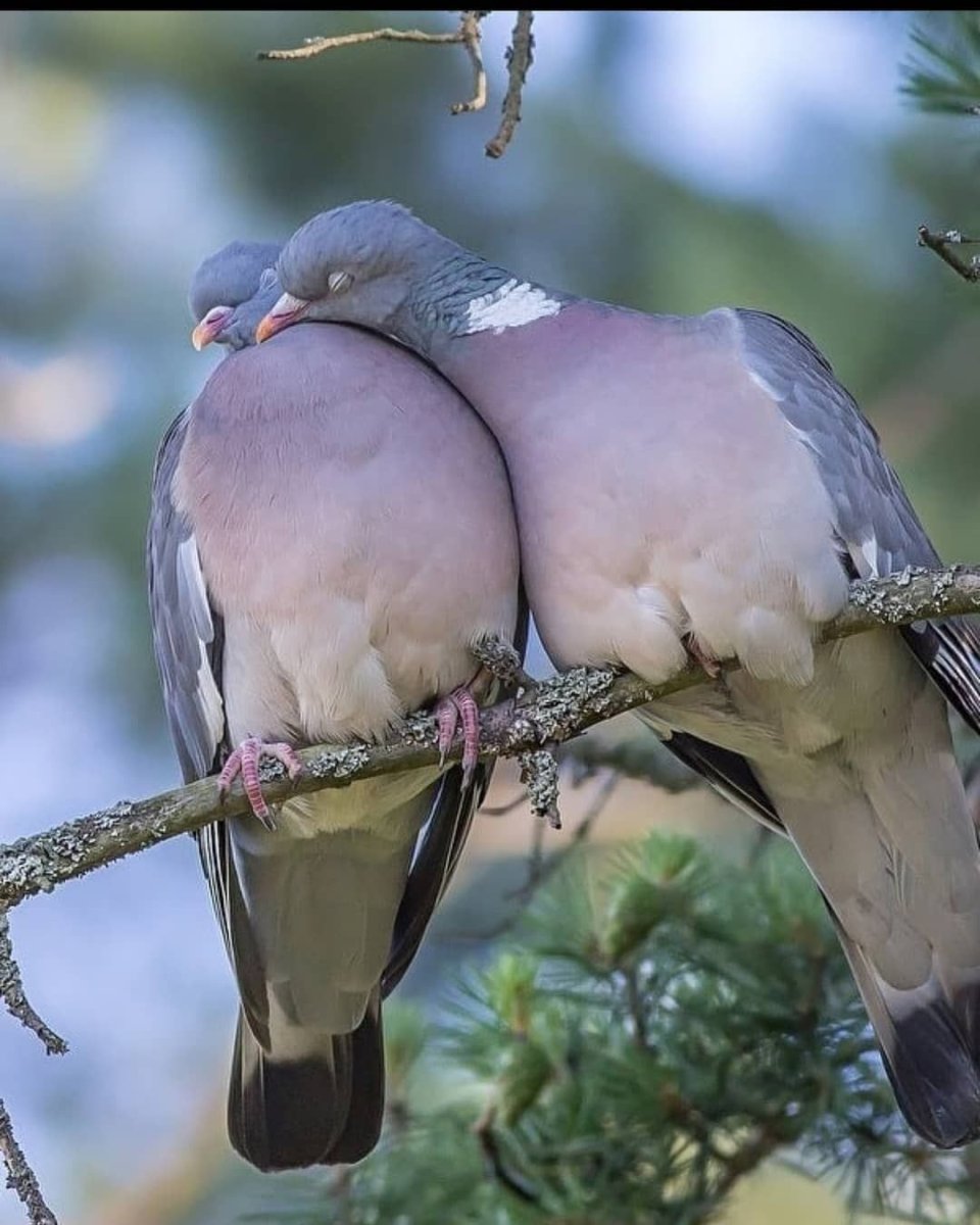 Открытки с Благовещением