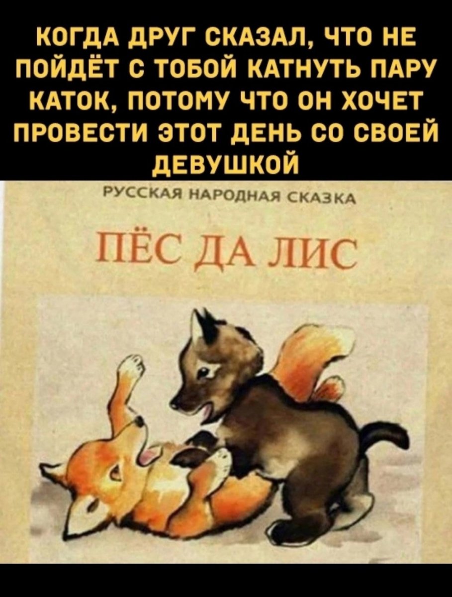 Дружба лисы и собаки