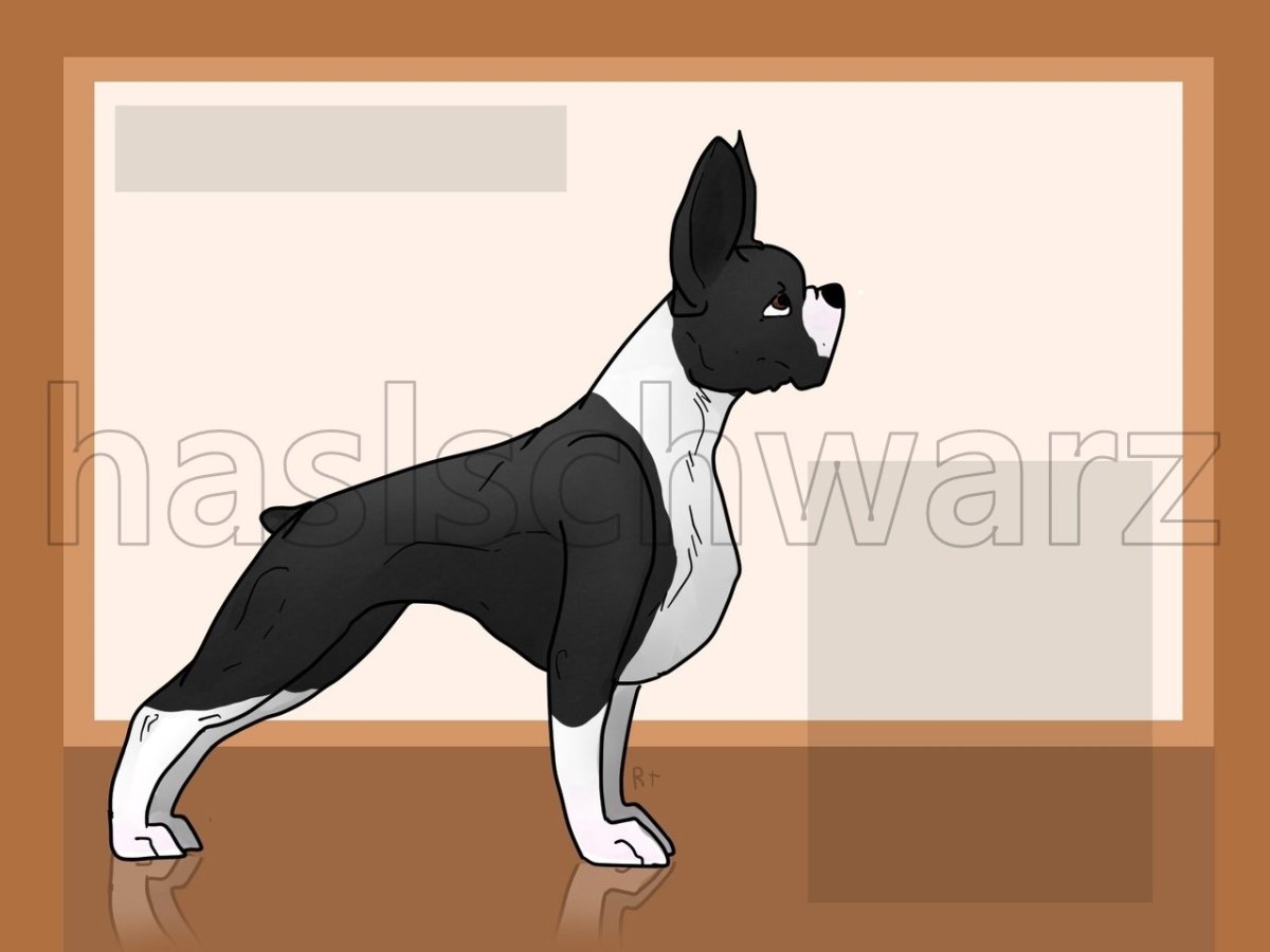 Канарский дог