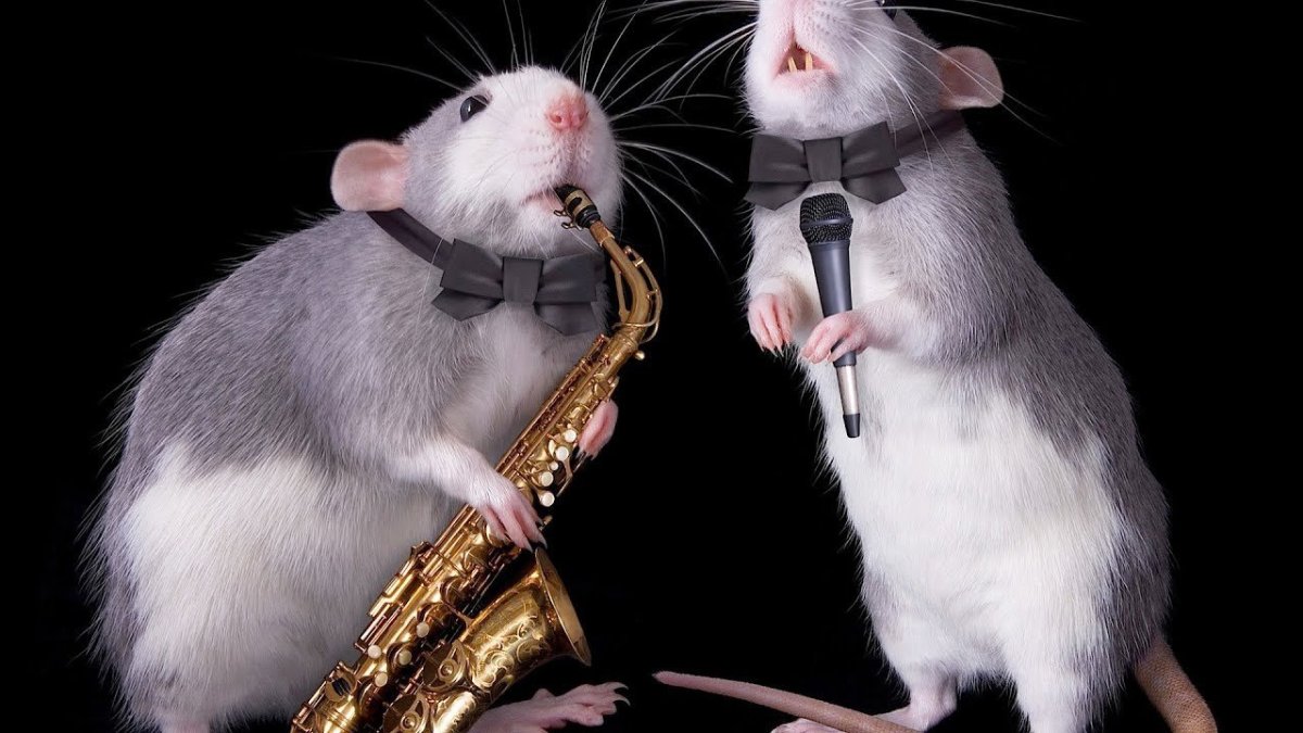 Две мыши смешные