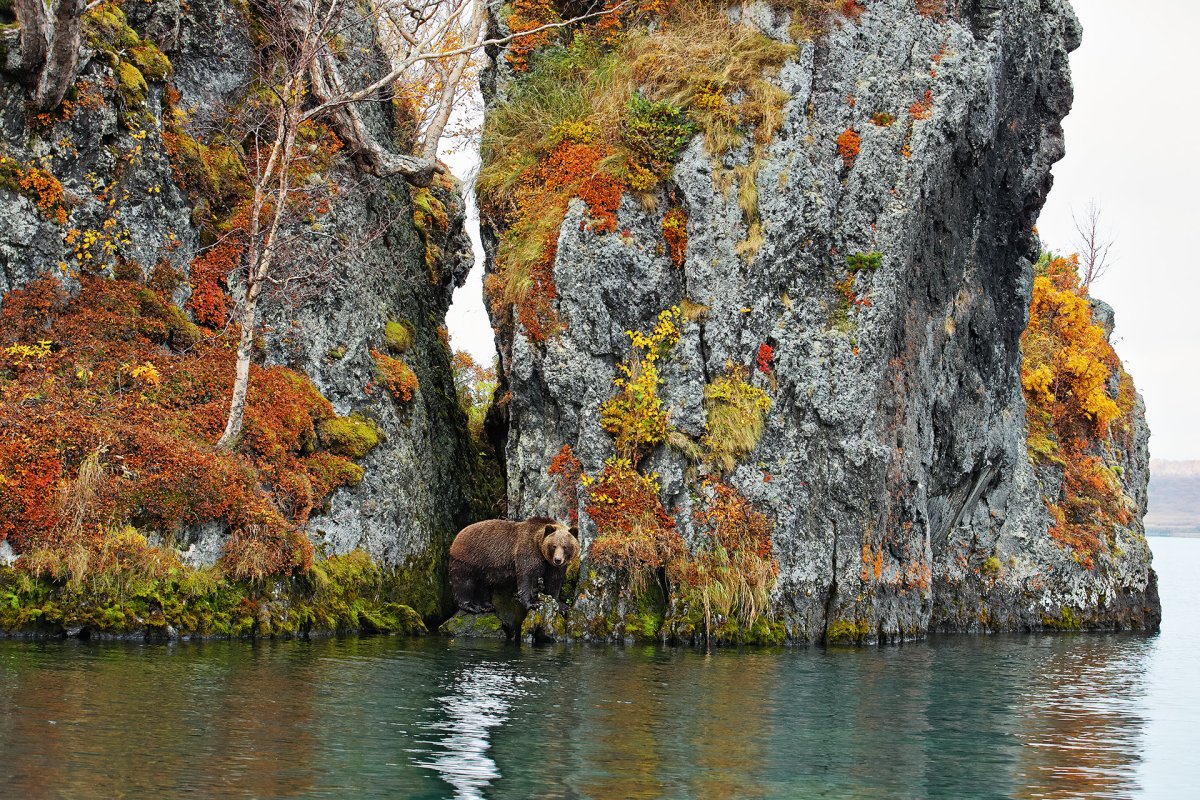 Остров Саманг Курильское озеро