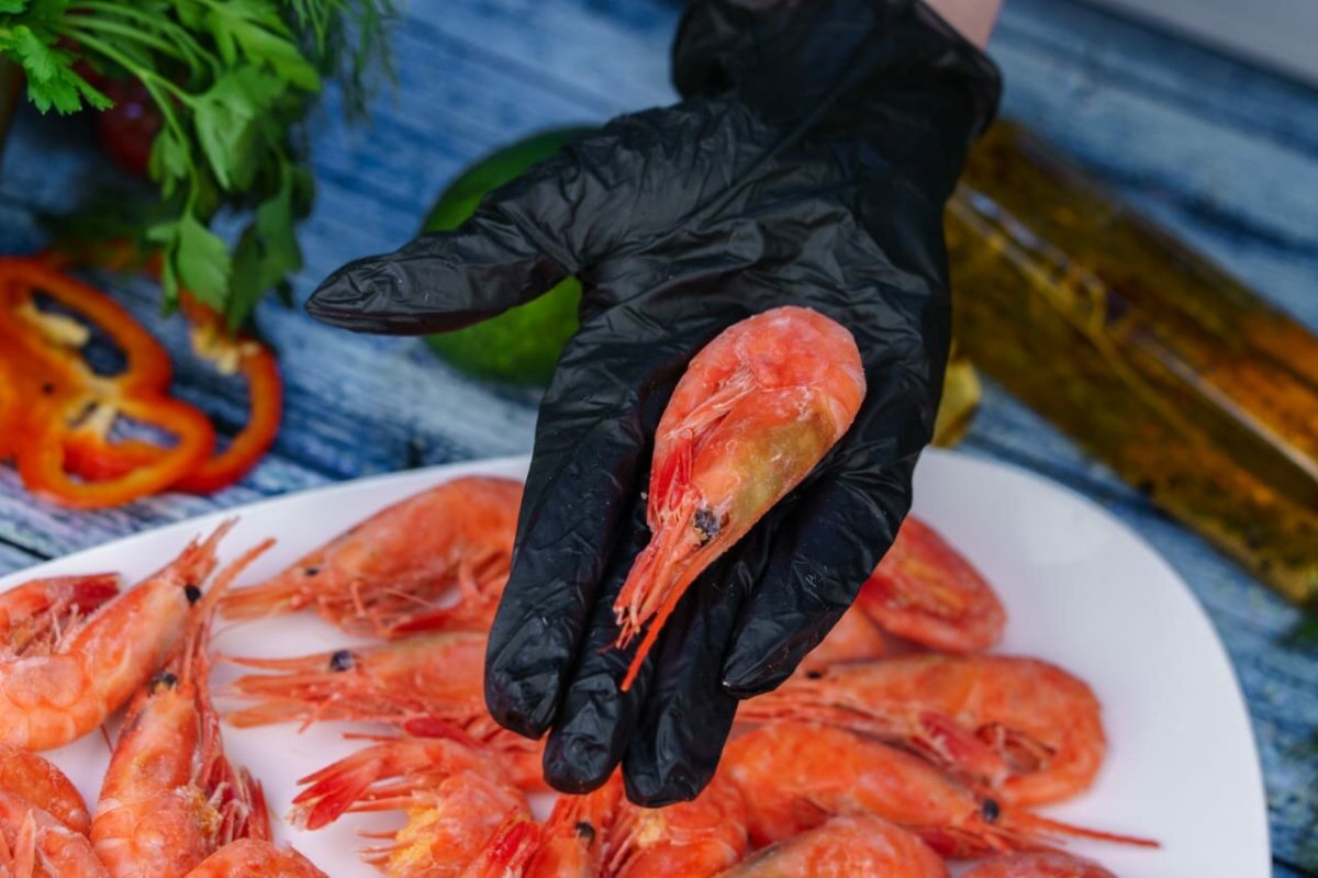 Сергей горшков фотограф медведи