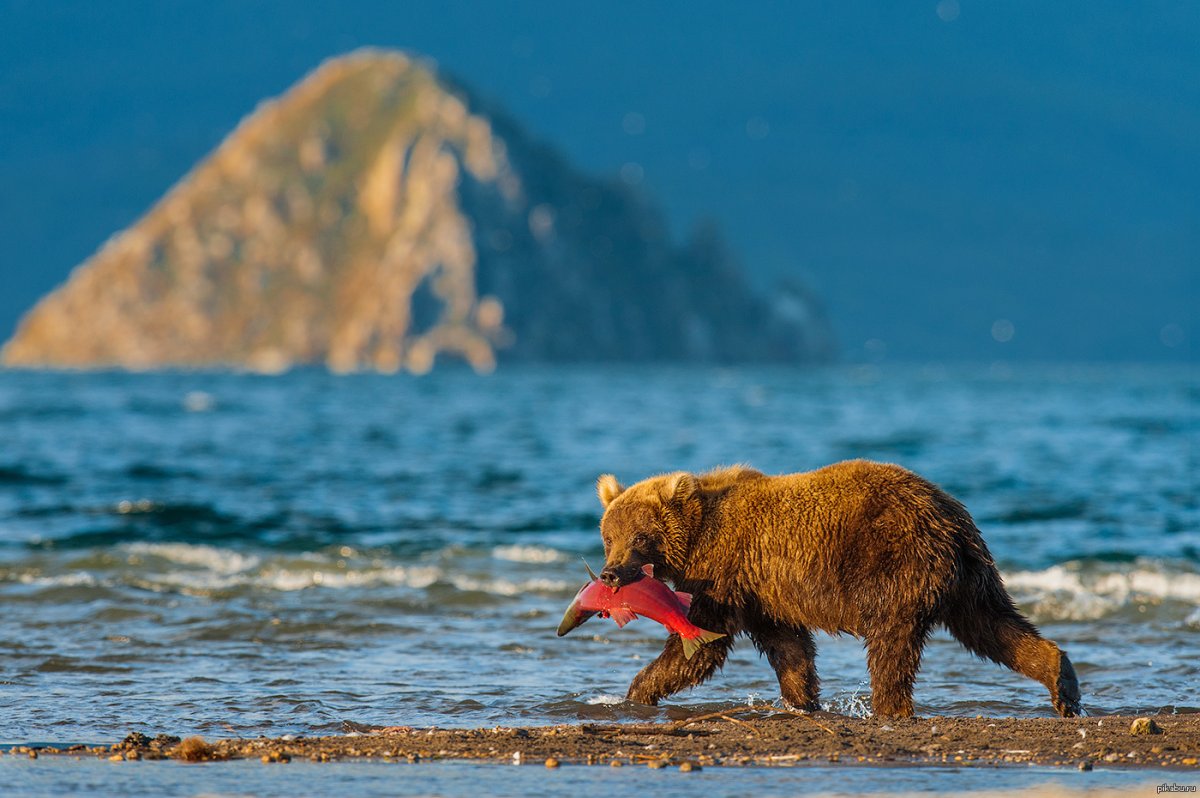 Курильское озеро Камчатка