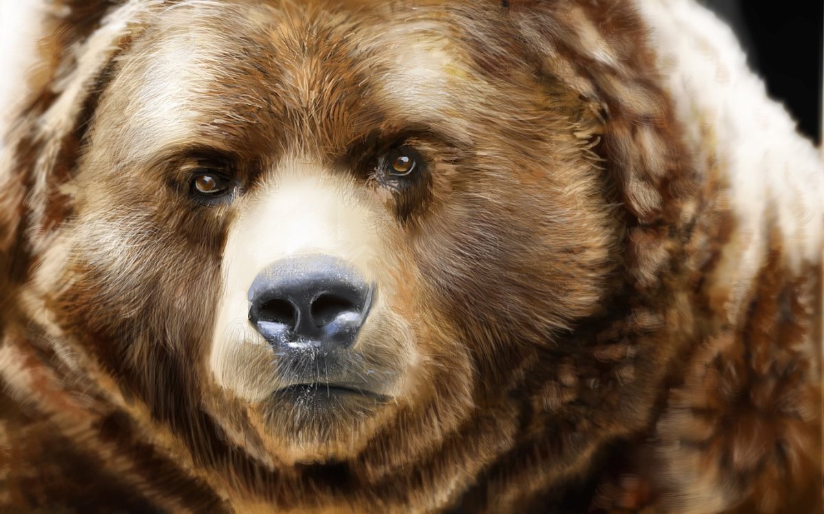 Нос медведя