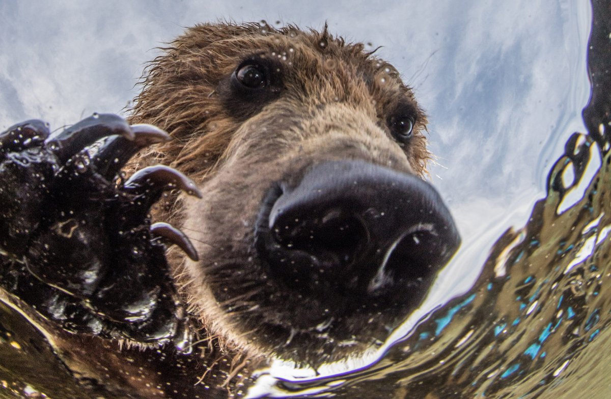 Михаил Коростылев фотограф