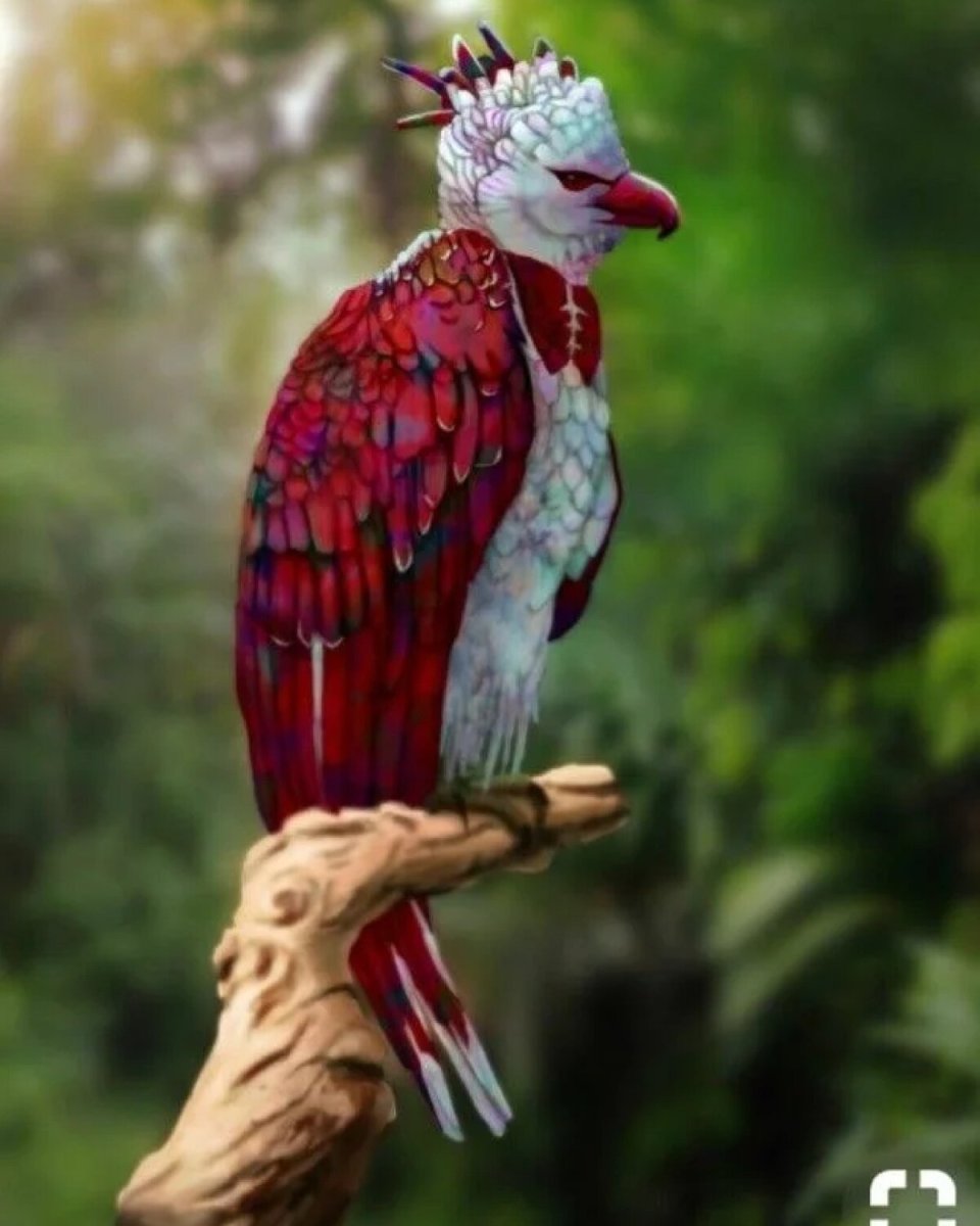 Саола парнокопытное