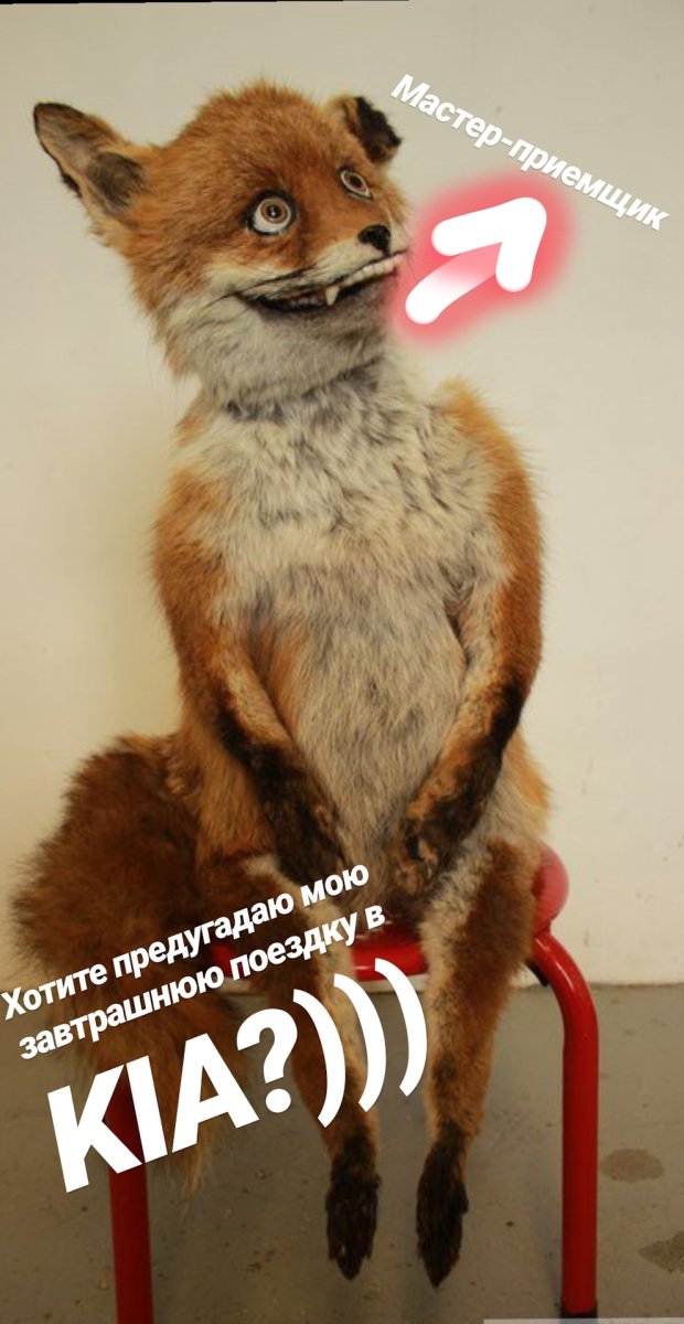 Чучело лисы