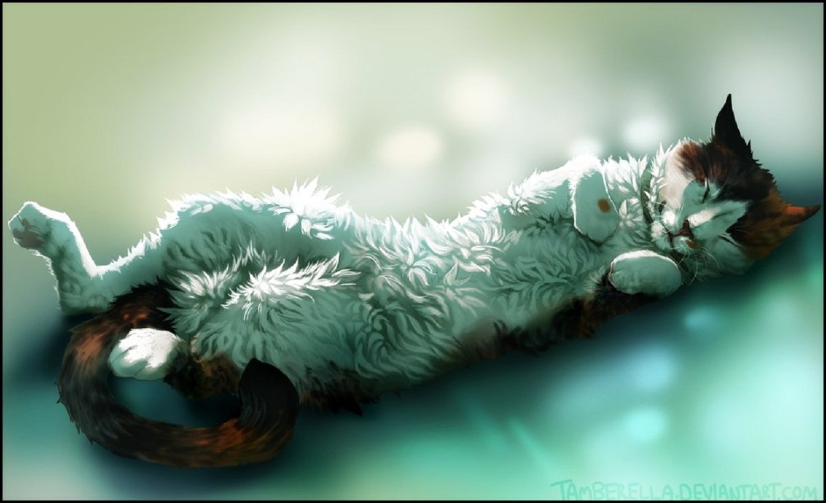 Коты лежат на спине арт