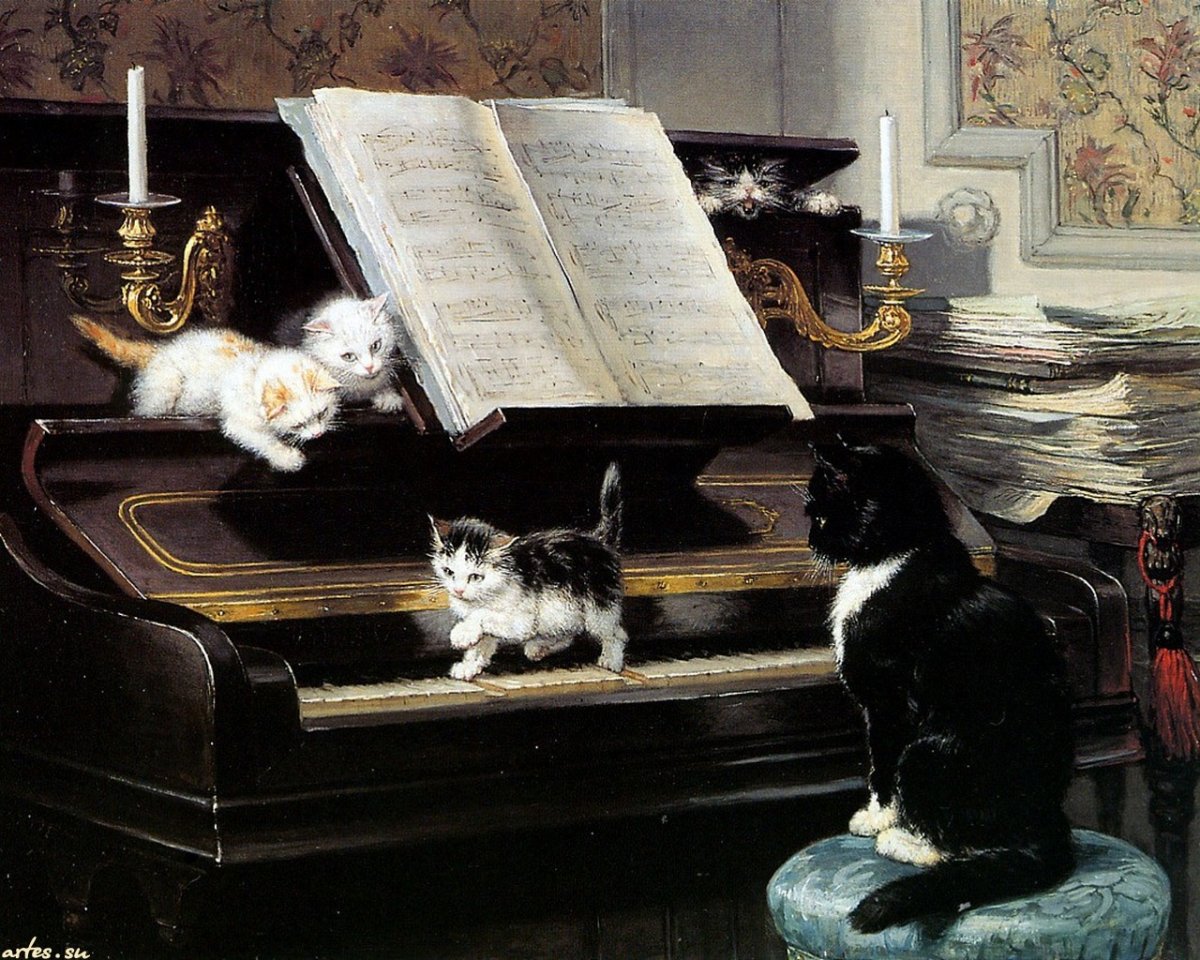 Кот играющий на синтезаторе