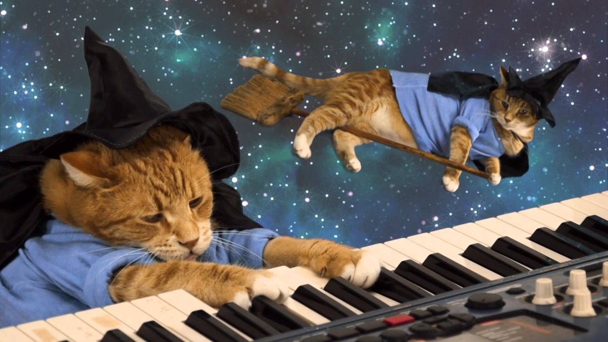 Кошка на пианино